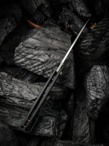 Складной нож WE Knife Seer Black фото 4 Складной нож WE Knife Seer Black фото 4